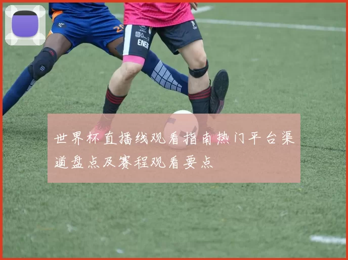 世界杯直播线观看指南热门平台渠道盘点及赛程观看要点