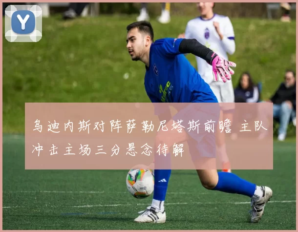 乌迪内斯对阵萨勒尼塔斯前瞻 主队冲击主场三分悬念待解