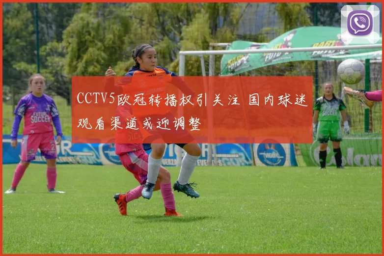 CCTV5欧冠转播权引关注 国内球迷观看渠道或迎调整