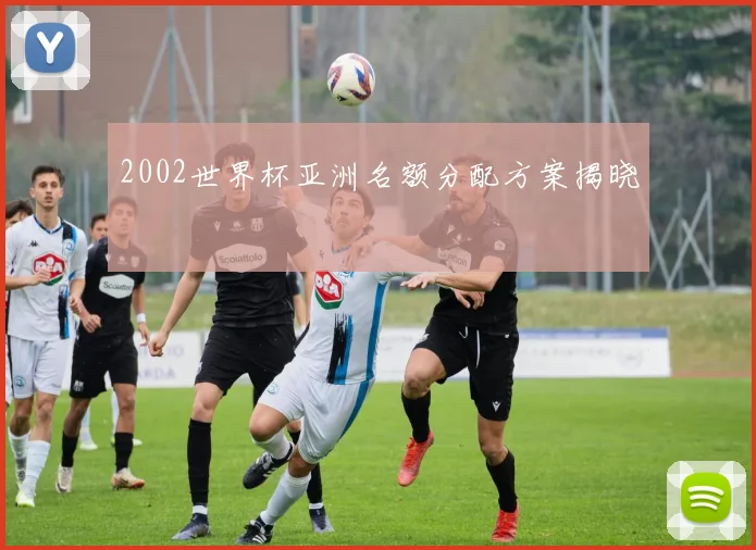 2002世界杯亚洲名额分配方案揭晓