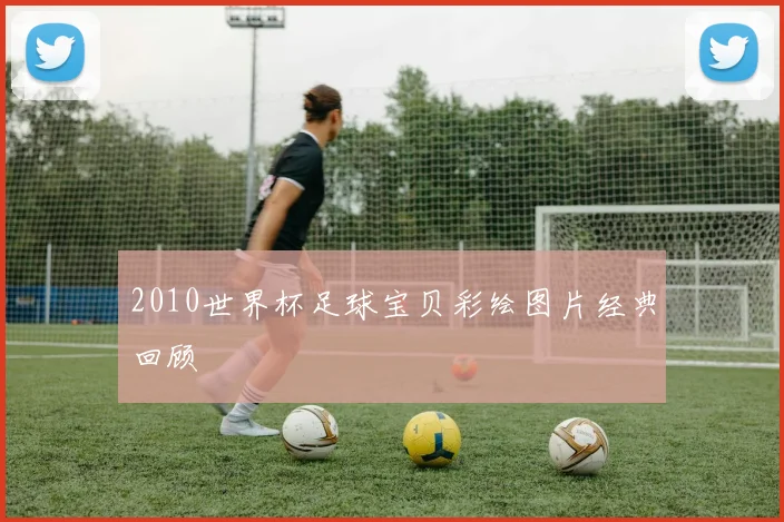 2010世界杯足球宝贝彩绘图片经典回顾