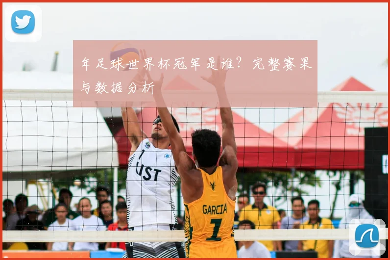 年足球世界杯冠军是谁?完整赛果与数据分析