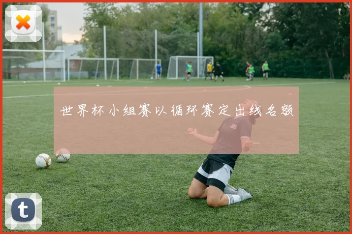世界杯小组赛以循环赛定出线名额