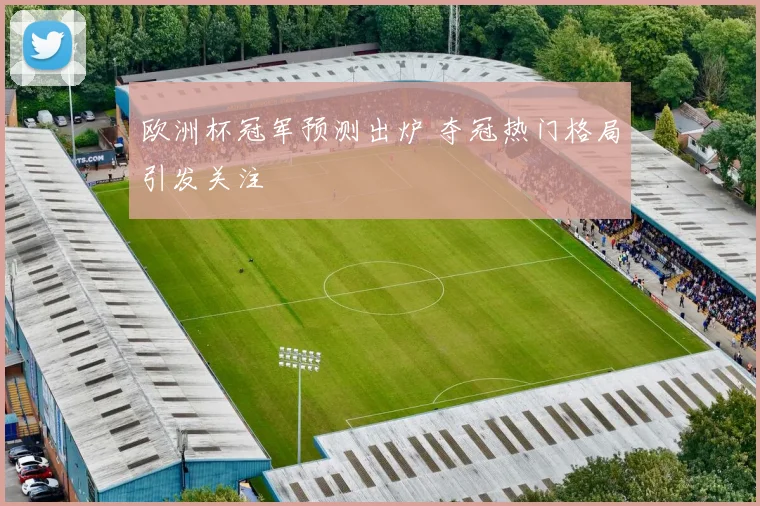 欧洲杯冠军预测出炉 夺冠热门格局引发关注