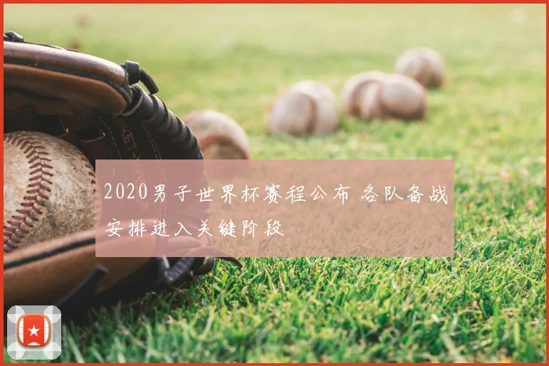 2020男子世界杯赛程公布 各队备战安排进入关键阶段