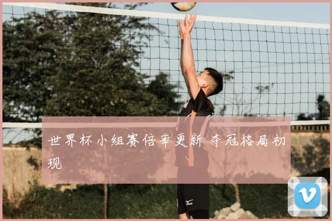 世界杯小组赛倍率更新 夺冠格局初现